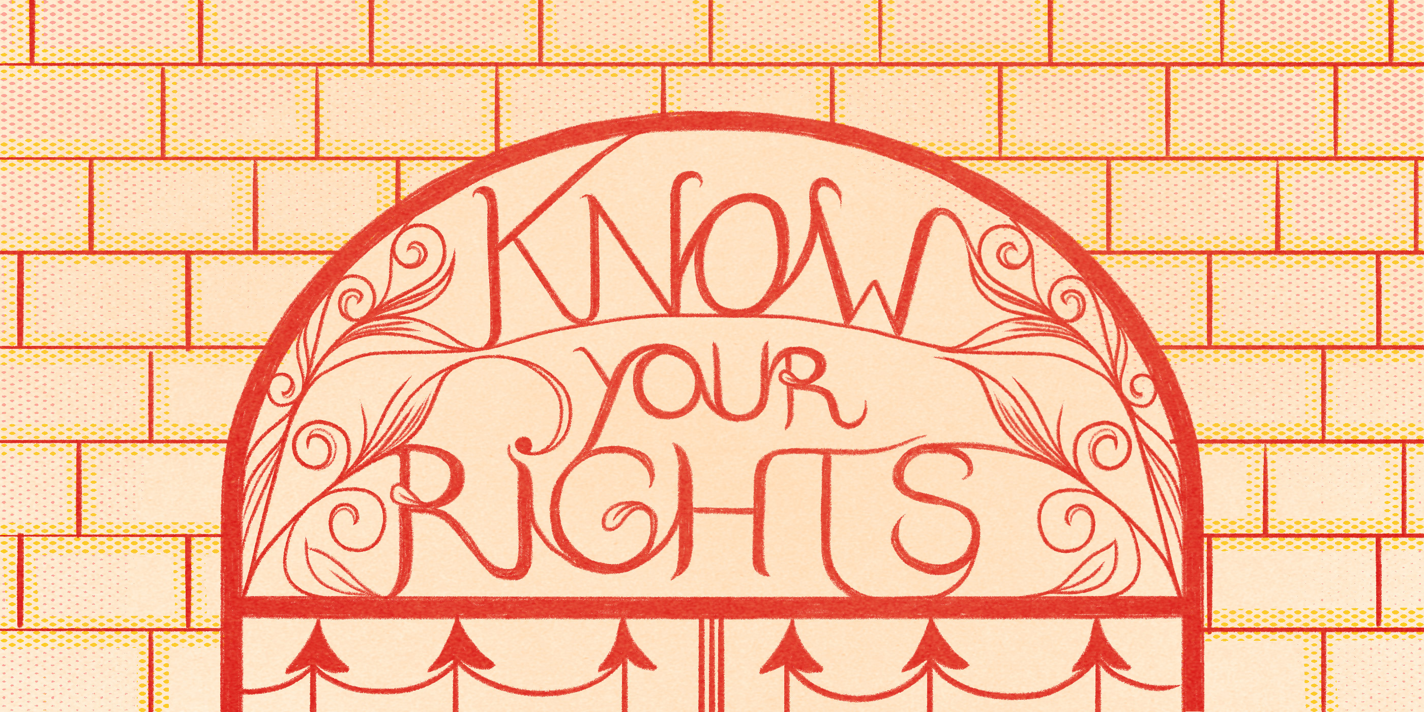 A comic graphic that says Know Your Rights.